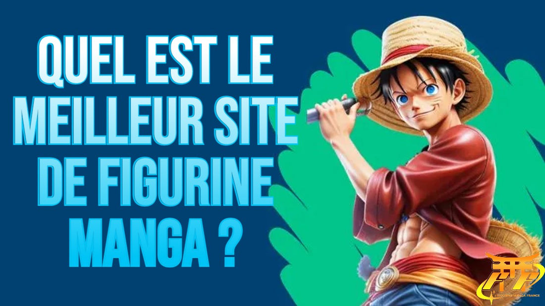 Quel est le meilleur site de figurine manga ?