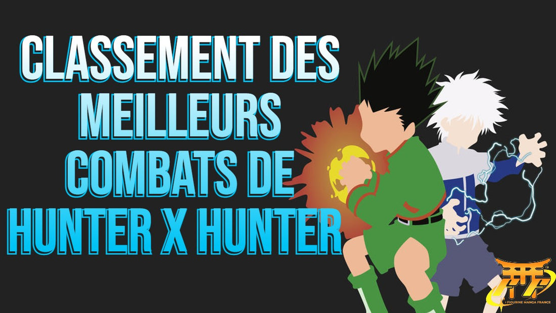 Classement des Meilleurs Combats de Hunter x Hunter 