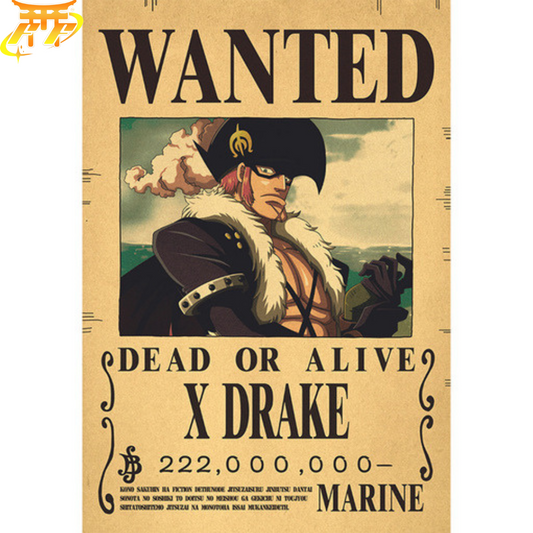 poster-wanted-x-drake-one-piece™