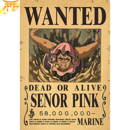 poster-wanted-senor-pink-one-piece™