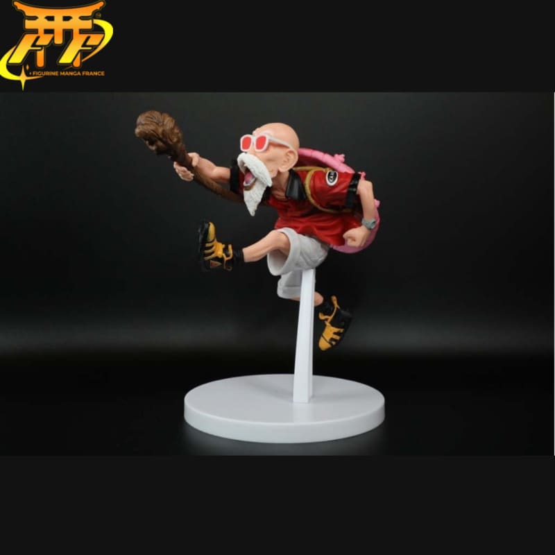 Figurine Kame Sennin - Dragon Ball Z™