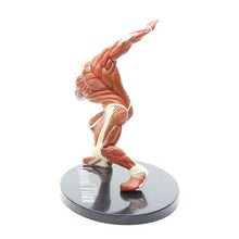 Charger l&#39;image dans la galerie, Figurine Titans Colossal - Attaque des Titans
